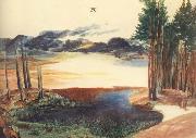 Albrecht Durer A Pond in the woods USA oil painting artist